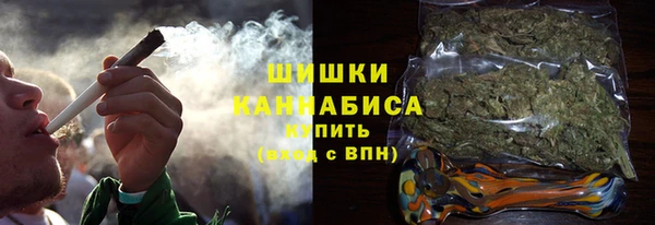 гидра Надым