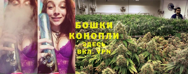 гашик Армянск
